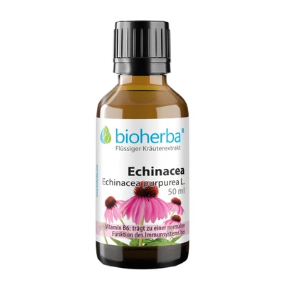 Abbildung von Echinacea 50 ml
