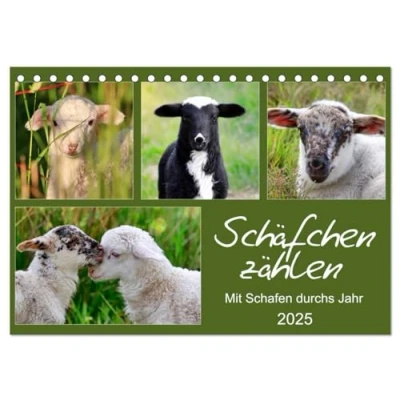 Abbildung von Schäfchen zählen Mit Schafen durchs Jahr (Tischkalender 2025 DIN A5 quer), CALVENDO Monatskalender