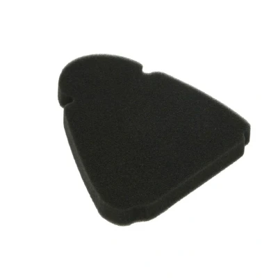 Abbildung von Luftfilter ATHENA S410510200007