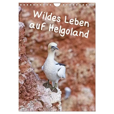Abbildung von Wildes Leben auf Helgoland (Wandkalender 2025 DIN A4 hoch), CALVENDO Monatskalender