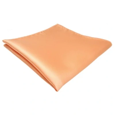 Abbildung von TigerTie Designer Einstecktuch in lachs orange einfarbig uni