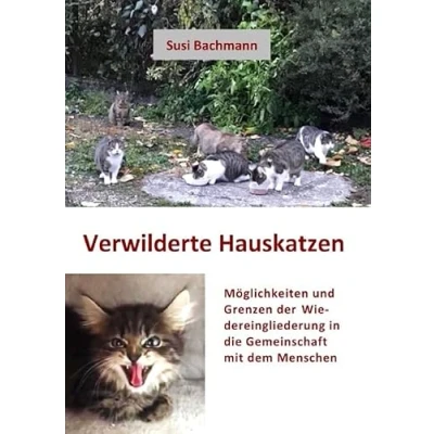 Abbildung von Verwilderte Hauskatzen: Möglichkeiten und Grenzen der Wiedereingliederung in die Gemeinschaft mit dem Menschen