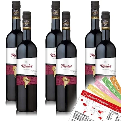 Abbildung von OverSeas Merlot, trocken, sortenreines Weinpaket + VINOX Winecards (6x0,75l)