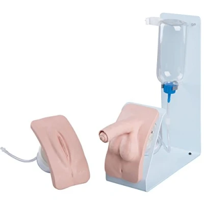 Abbildung von 3B Scientific Katheterisierungssimulator Set BASIC