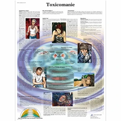 Abbildung von 3B Scientific Board, 1