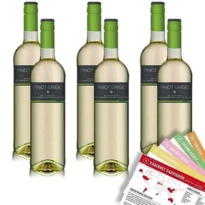 Abbildung von Rheinberg Pinot Grigio DOC, trocken, sortenreines Weinpaket + VINOX Winecards (6x0,75l)
