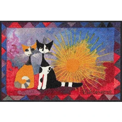 Abbildung von Salonloewe Rosina Wachtmeister Fußmatte NOI Due 050x075 cm Fußabtreter Sauberlaufmatte draußen Fussmatte Indoor Schmutzfänger Outdoor