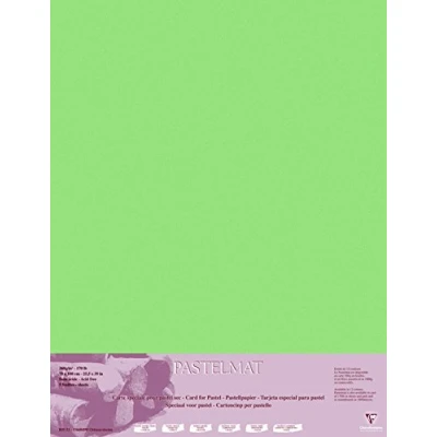 Abbildung von Clairefontaine 96158C Packung (mit 5 Zeichenbögen Pastelmat, 70 x 100 cm, 360 g, ideal für Trockentechniken und Pastell) hellgrün