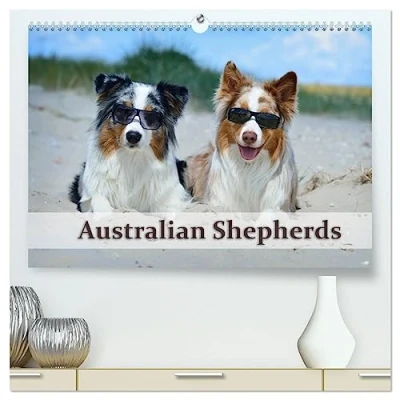 Abbildung von Wunderbare Australian Shepherds (hochwertiger Premium Wandkalender 2025 DIN A2 quer), Kunstdruck in Hochglanz