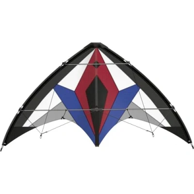 Abbildung von Günther Flug Drache Sportlenkdrachen