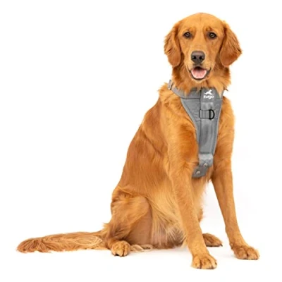 Abbildung von Kurgo TRU Fit Hundegeschirr, Crash Test erprobtes Auto Sicherheitsgurt, Für Hunde von 2 bis 5 kg, Größe L, Grau
