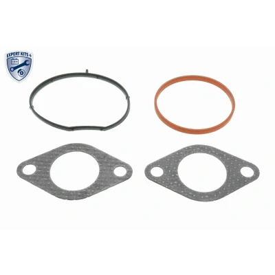Abbildung von VEMO V10 63 0191 Dichtungssatz, AGR System AUDI: A3 Schrägheck, Sportback, A4 B8 Avant, VOLKSWAGEN: Golf 6 Variant, 6, Plus / Crossgolf