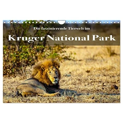 Abbildung von Faszinierende Tierwelt des Kruger National Parks (Wandkalender 2025 DIN A4 quer), CALVENDO Monatskalender