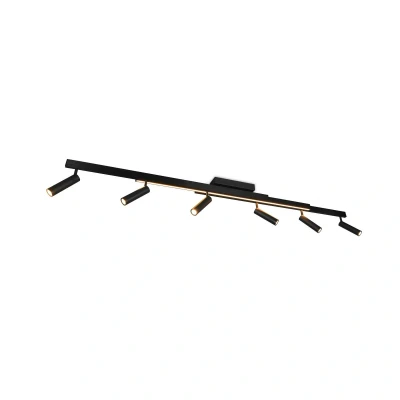 Abbildung von LED Deckenspot Zeno, 6 Spots, schwarz matt, Metall