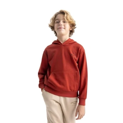 Abbildung von DeFacto Hoodie Jungen Kapuzenpullover Regular Fit Hooded