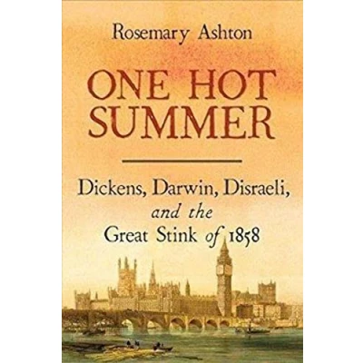Abbildung von One Hot Summer: Dickens, Darwin, Disraeli, and the Great Stink of 1858