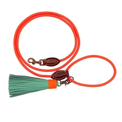 Abbildung von Dwam Leine Karottenkuchen Seil Hundeleine 155x1 cm Orange S...