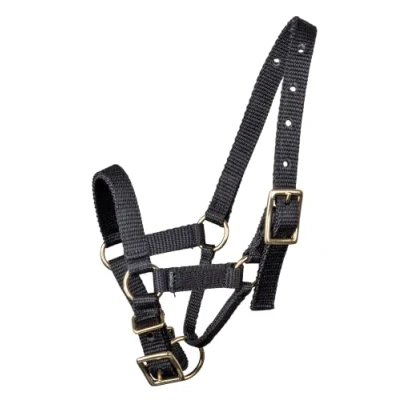 Abbildung von Waldhausen Alpaka Halfter XS Schwarz