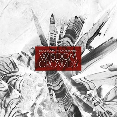 Abbildung von Wisdom of Crowds [Vinyl LP]