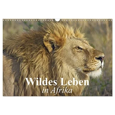 Abbildung von Wildes Leben in Afrika (Wandkalender 2025 DIN A3 quer), CALVENDO Monatskalender