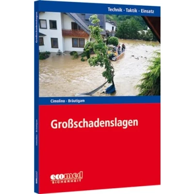 Abbildung von Großschadenslagen: Reihe: Technik Taktik Einsatz