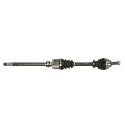 Abbildung von Antriebswelle PASCAL G2C143PC