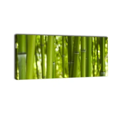 Abbildung von wandmotiv24 Leinwandbild Panorama Nr. 57 Bambusdikicht 100x40cm, Keilrahmenbild, Bild auf Leinwand, Kunstdruck Bambus Wald Asia