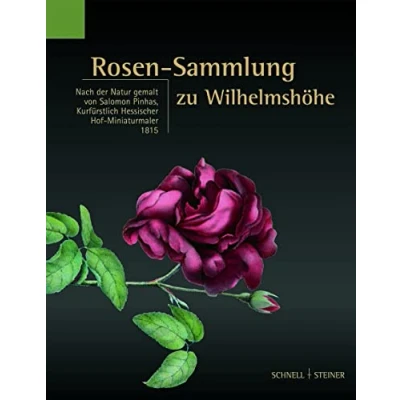 Abbildung von Rosen Sammlung zu Wilhelmshöhe: Nach der Natur gemalt von Salomon Pinhas, Kurfürstlich Hessischer Hof Miniaturmaler 1815 (Studien zum Kulturerbe in Hessen)