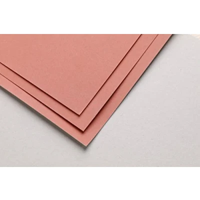 Abbildung von Clairefontaine 696090C Packung (mit 5 Zeichenbögen Pastelmat, DIN A3, 360 g, ideal für Trockentechniken und Pastell) Rosa
