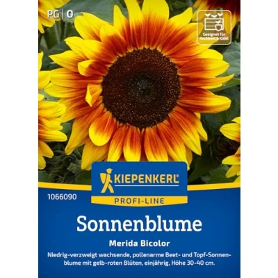 Abbildung von Kiepenkerl Profi Line Sonnenblumensamen Merida Bicolor 1066090 Niedrig wachsende, pollenarme Sorte circa 30 40cm Wildblumensamen, Blumenwiese, Saatgut