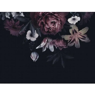 Abbildung von living walls Fototapete &quot;The Wall&quot;, geblümt Floral natürlich, Tapete Blume Schwarz Rot Weiß