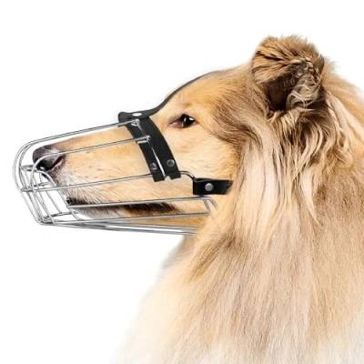 Abbildung von BRONZEDOG Drahtkorb Hund Maulkorb Metall Leder verstellbar (Size 8: Greyhound &amp; Collie)