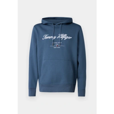 Abbildung von Tommy Hilfiger Script LOGO Hoody Sweatshirt, Herren, Größe: Small, Aegean sea