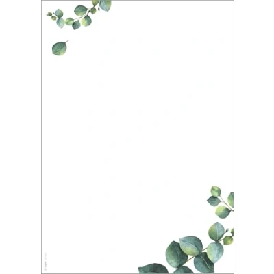 Abbildung von SIGEL DP626 Hochwertiges Motivpaper, Druckerpapier, Eukalyptus, grün, A4, 100 Blatt, Motiv beidseitig, 90 g/m², für Speisekarten, aus nachhaltigem Papier