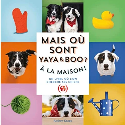 Abbildung von Mais où sont Yaya et Boo ?: À la maison !