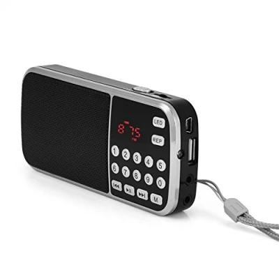 Abbildung von Tosuny Digital Radio mit Lautsprecher, Musik Player, FM Radio/TF Karte/USB/Aux Verbingdung Schwarz