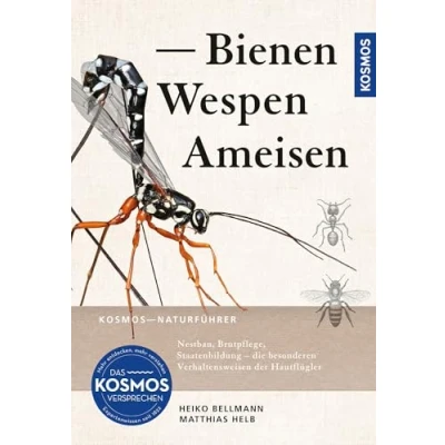 Abbildung von Bienen, Wespen, Ameisen: Insekten Mitteleuropas: Nestbau, Brutpflege, Staatenbildung die besonderen Verhaltensweisen der Hautflügler
