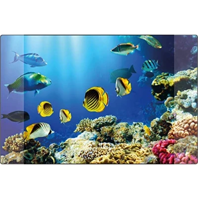 Abbildung von Schreibunterlage Kangaro PP 38 x 58 cm Aquarium, K 0014D115