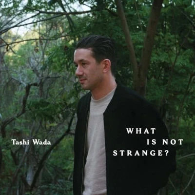 Abbildung von What Is Not Strange? [Vinyl LP]