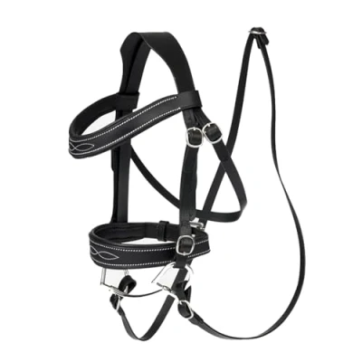 Abbildung von LeMieux Hobby Horse Wedstrijd Hoofdstel Schwarz