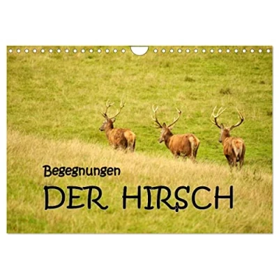 Abbildung von Begegnungen. DER HIRSCH (Wandkalender 2025 DIN A4 quer), CALVENDO Monatskalender