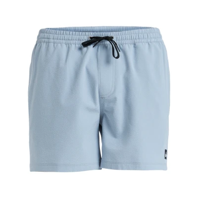 Abbildung von Quiksilver Everyday FLEX 15 Badeshorts, Herren, Größe: Large, Sje