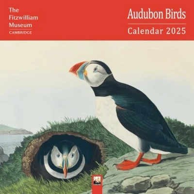 Abbildung von Fitzwilliam Museum: Audubon Birds Wall Calendar 2025 (Art Calendar)