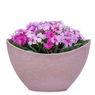 Abbildung von Ovale Pflanzschale für draußen Hohe Schiff Deko Schale in rosa Stein Optik als Blumen Topf Pflanztopf 24 cm Jardiniere Garten Balkon oder Friedhof wetterfester Grab Schmuck
