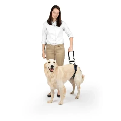 Abbildung von PetSafe CareLift Hüft Hebegeschirr für Hunde, Hebehilfe mit Griff und Schultergurt zur Hüftunterstützung, Größe L