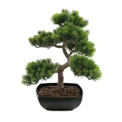 Abbildung von Kunstpflanze Bonsai Pinie Bonsai, EUROPALMS, Höhe 50 cm