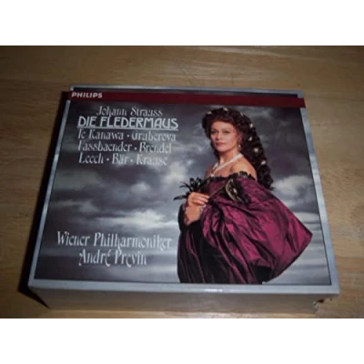 Abbildung von Die Fledermaus