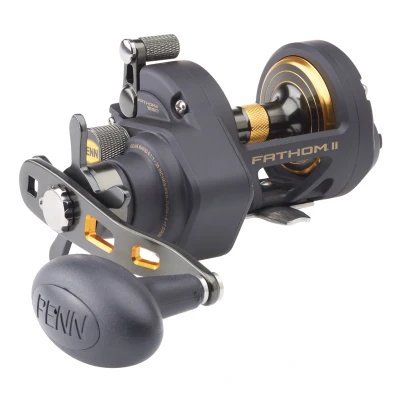 Abbildung von Penn Fathom II Star Drag RH Meeresrolle 40 Multirolle