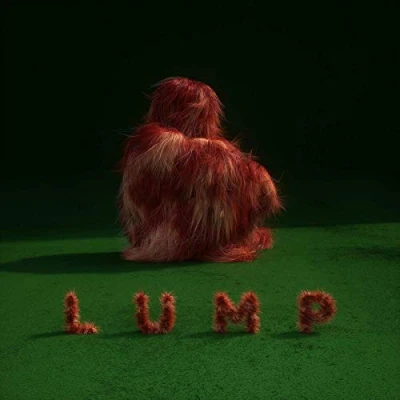 Abbildung von Lump [Vinyl LP]