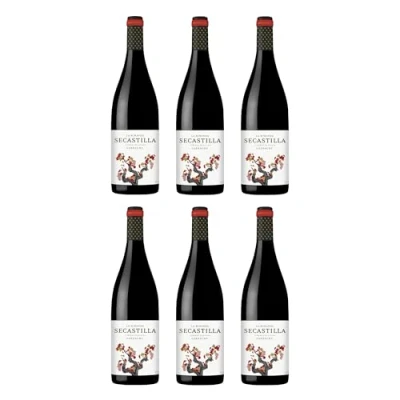Abbildung von Viñas del Vero La Miranda de Secastilla Garnacha Tinto Rotwein Wein trocken Somontano Spanien I Visando Paket (6 Flaschen)